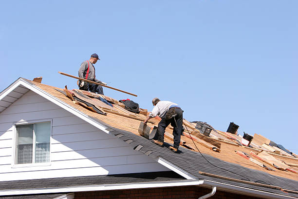 Best Roof Maintenance and Cleaning  in Minden, NV